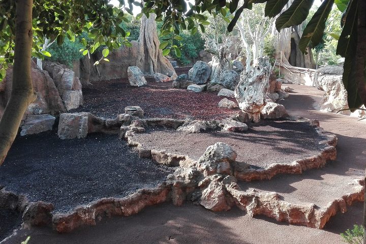 A recreated African habitat of rock, red earth and pale trees inside the zoo