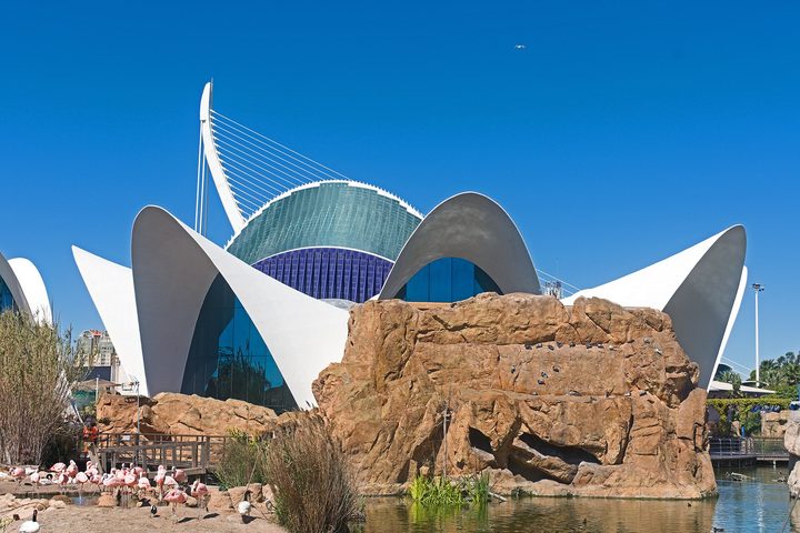 A white petalled Calatrava roof over the aquarium buildings beside the water